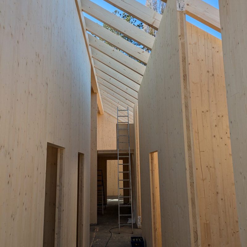 PXL_20250320_103917716